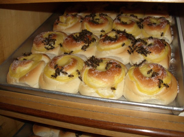 The Bakery Bees: live-in sweeteners at the Miracema bakery