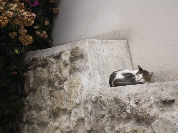 Lisboa is a sleepy kind of town at the best of times... definitely my style!